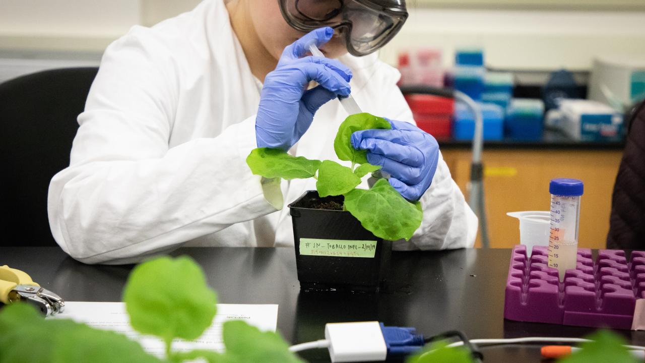 CURES Lab