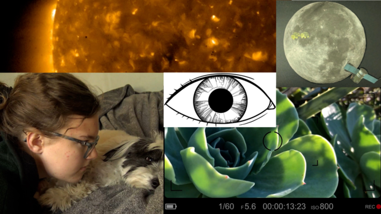Creative Visualizations of Science Student Film Night